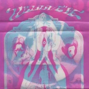 Pochette de 't Orgelorkest de Hellvete