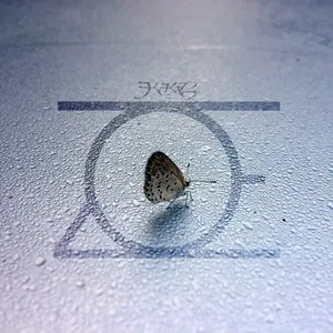 Pochette de Zoe de Kekal