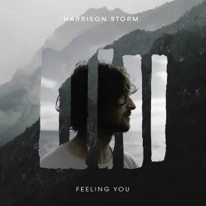 Pochette de Feeling You de Harrison Storm
