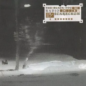 Pochette de Radio Scarecrow de The Black Dog