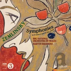 Pochette Symphonies in D minor and B-flat major