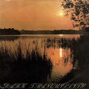 Pochette de Promo '94 de Dark Tranquillity
