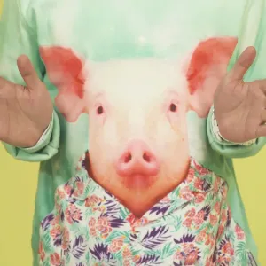 Pochette de Piggy Piggy de Namewee