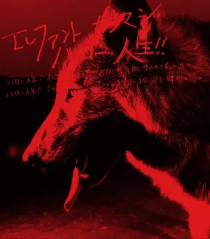 Pochette de ハロー人生!! de Elephant Kashimashi