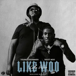 Pochette de Like Woo de TDott Woo