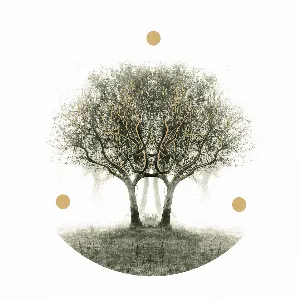 Pochette de ULU de Lili Refrain