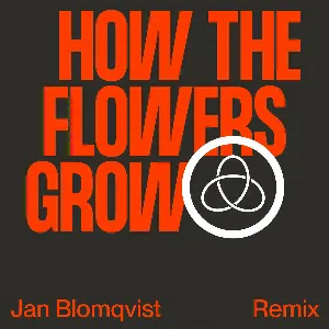 Pochette How the Flowers Grow (Jan Blomqvist remix)