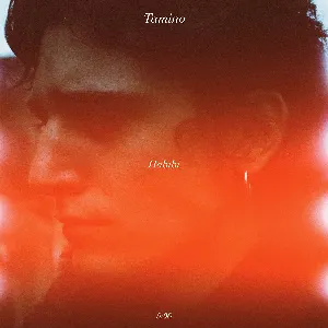 Pochette de Habibi - EP de Tamino