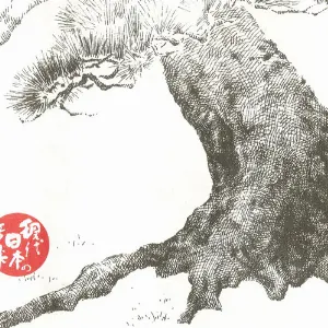 Pochette de Contemporary Japanese Music 3, Musica par Orchestra, Etenraku, Gagaku, Classical Dance, Bugaku de NHK Symphony Orchestra