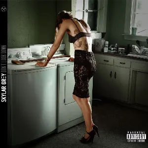 Pochette de Don’t Look Down de Skylar Grey