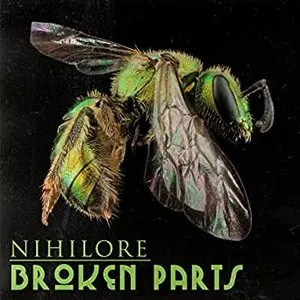 Pochette de Broken Parts de Nihilore