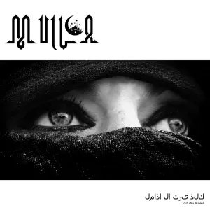 Pochette de لماذا لا ترى ذلك de Mulla