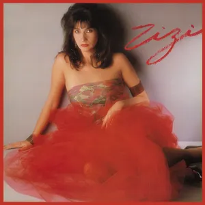 Pochette de Zizi de Zizi Possi