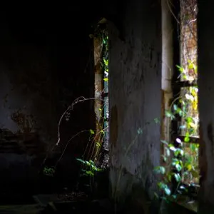 Pochette de Obscured by Beams of Sorrow de Dirk Serries