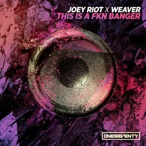 Pochette de This Is a Fkn Banger de Joey Riot
