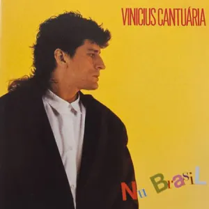 Pochette de Nu Brasil de Vinicius Cantuária