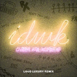 Pochette IDWK (Loud Luxury remix)