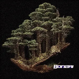 Pochette de Bonzai de Dimi Kaye