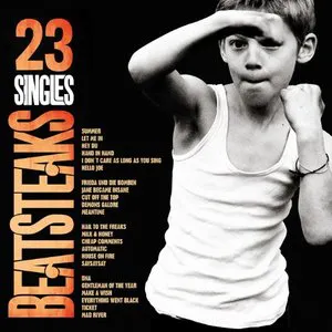 Pochette de 23 Singles de Beatsteaks