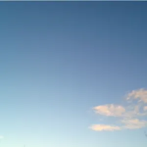 Pochette de Do Birds Dream in Song? de Omnis