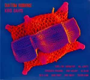 Pochette de Diatom Ribbons de Kris Davis