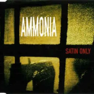 Pochette de Satin Only de Ammonia