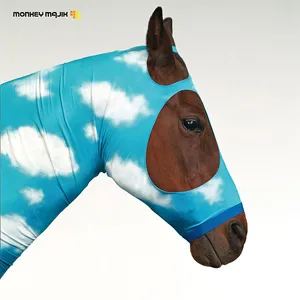 Pochette de 空はまるで de MONKEY MAJIK