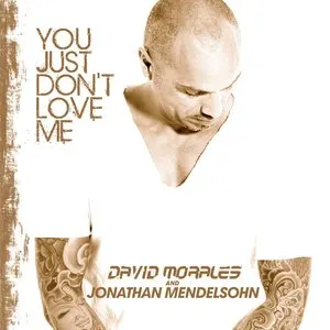 Pochette de You Just Don't Love Me de Jonathan Mendelsohn