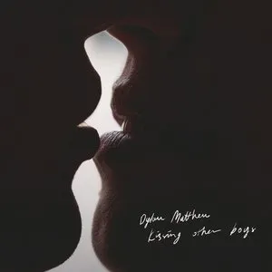 Pochette de Kissing Other Boys de Dylan Matthew