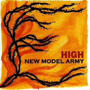 Pochette de High de New Model Army