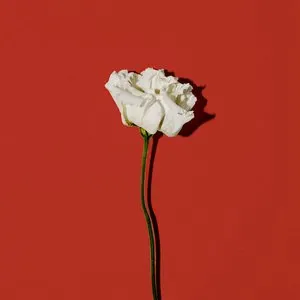 Pochette de Ghostly Affair de Yodelice