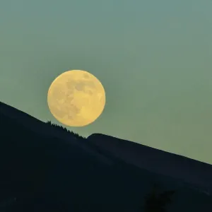 Pochette de Moonrise de ØDYSSEE