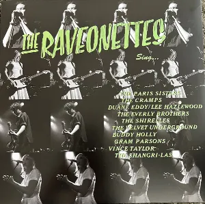 Pochette de Sing… de The Raveonettes
