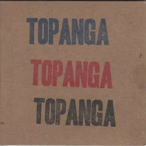Pochette de Never Try de PUP