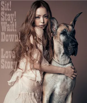 Pochette de Sit! Stay! Wait! Down! / Love Story de Namie Amuro
