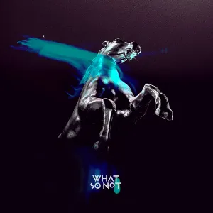 Pochette de Warlord de What So Not