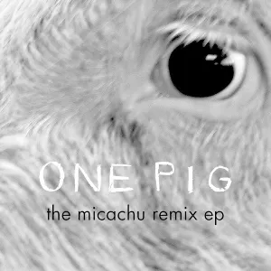 Pochette One Pig (Micachu Remix EP)