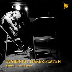 Pochette de Birds: Solo Electric de Ingebrigt Håker Flaten