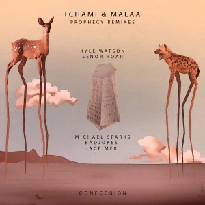 Pochette de Prophecy Remixes de Tchami