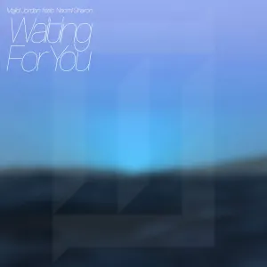 Pochette de Waiting for You de Naomi Sharon