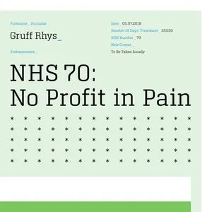 Pochette de No Profit in Pain de Gruff Rhys