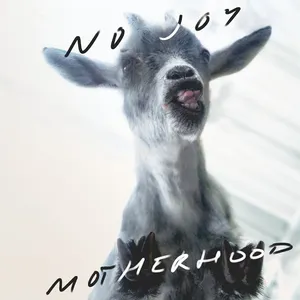 Pochette de Motherhood de No Joy