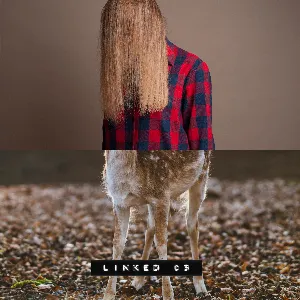 Pochette de LINKED 03 de Phace