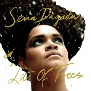 Pochette de Lots of Trees de Sena Dagadu