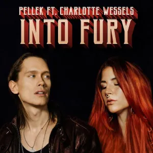 Pochette de Into Fury de PelleK