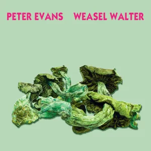 Pochette de Poisonous de Peter Evans - Weasel Walter