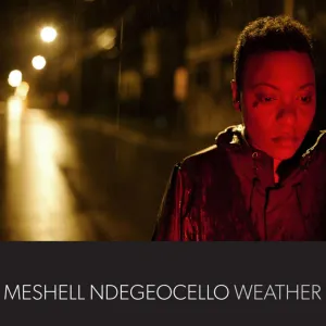 Pochette de Weather de Meshell Ndegeocello