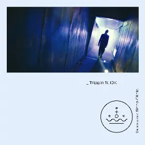 Pochette de Trippin de IDK - Vancouver Sleep Clinic