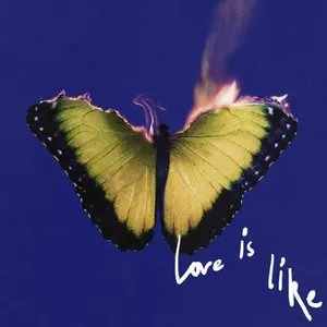 Pochette de All Night de Maroon 5