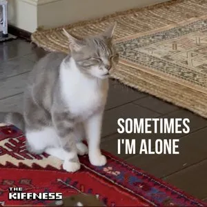 Pochette de Sometimes I'm Alone (Lonely Cat) de The Kiffness